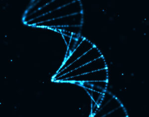 Marketing B2B - Stratlab DNA